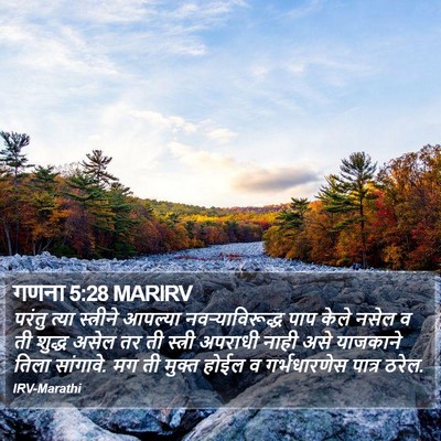 गणना 5:28 MARIRV Bible Verse Image