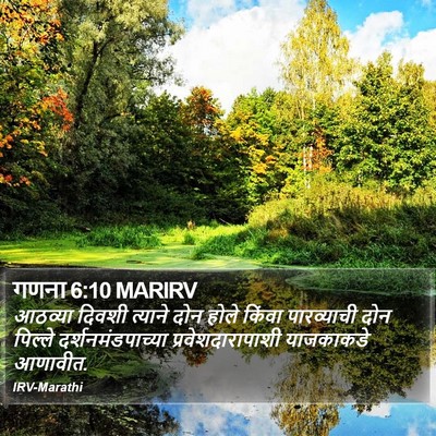 गणना 6:10 MARIRV Bible Verse Image