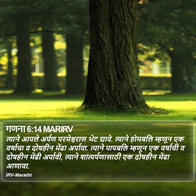 गणना 6:14 MARIRV Bible Verse Image