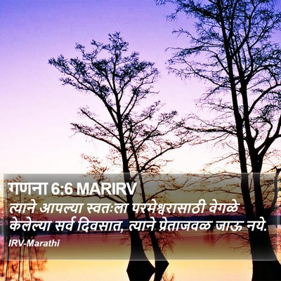 गणना 6:6 MARIRV Bible Verse Image
