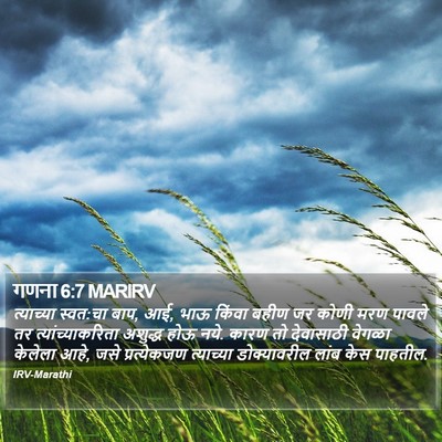 गणना 6:7 MARIRV Bible Verse Image