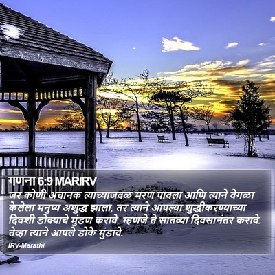 गणना 6:9 MARIRV Bible Verse Image