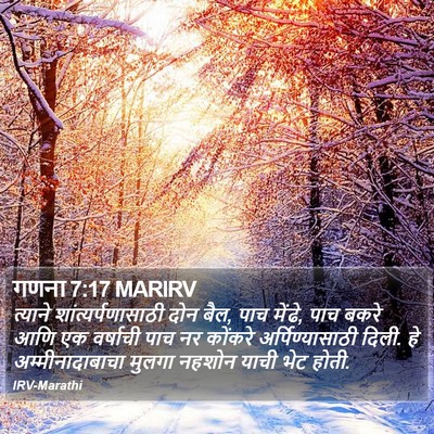 गणना 7:17 MARIRV Bible Verse Image