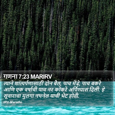 गणना 7:23 MARIRV Bible Verse Image