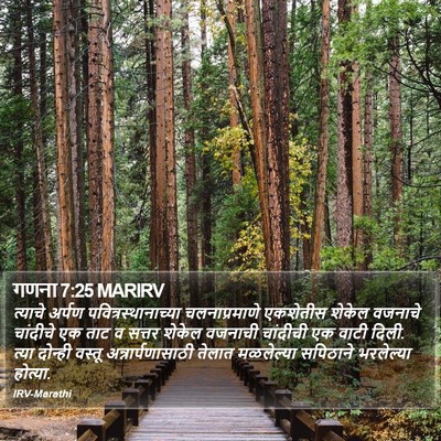 गणना 7:25 MARIRV Bible Verse Image
