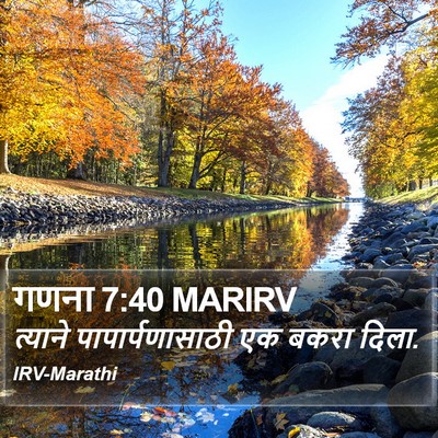 गणना 7:40 MARIRV Bible Verse Image