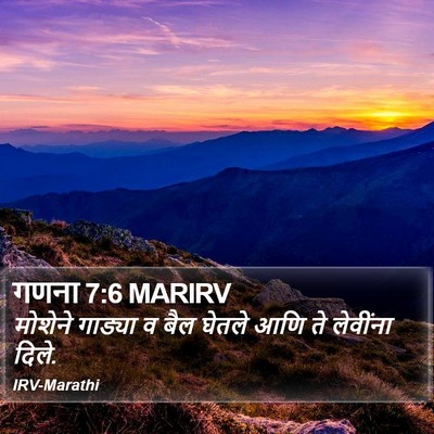 गणना 7:6 MARIRV Bible Verse Image