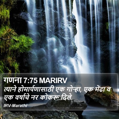 गणना 7:75 MARIRV Bible Verse Image