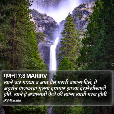 गणना 7:8 MARIRV Bible Verse Image