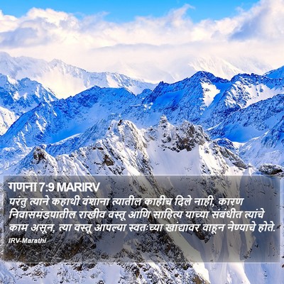 गणना 7:9 MARIRV Bible Verse Image