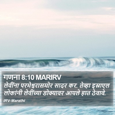 गणना 8:10 MARIRV Bible Verse Image