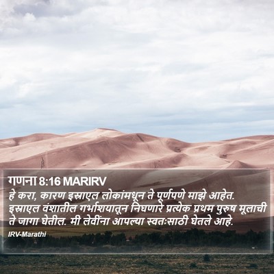 गणना 8:16 MARIRV Bible Verse Image