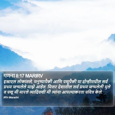 गणना 8:17 MARIRV Bible Verse Image