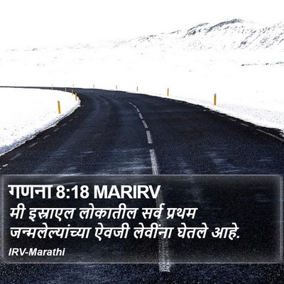 गणना 8:18 MARIRV Bible Verse Image
