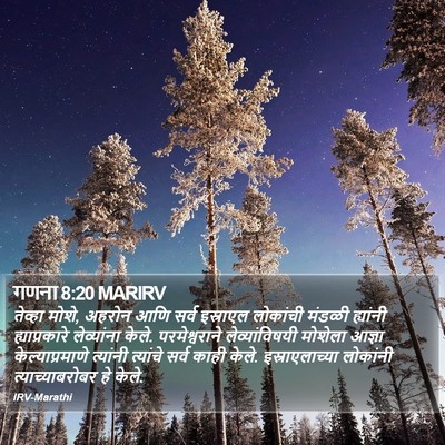 गणना 8:20 MARIRV Bible Verse Image