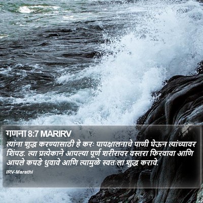 गणना 8:7 MARIRV Bible Verse Image