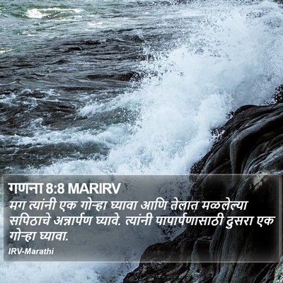 गणना 8:8 MARIRV Bible Verse Image