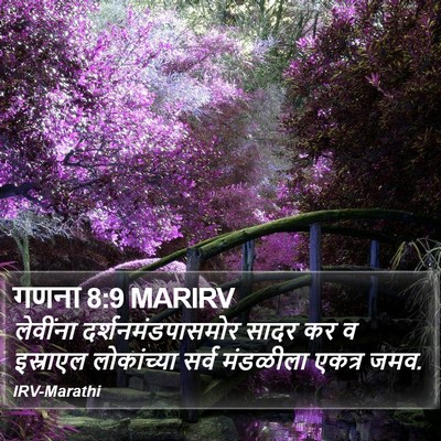 गणना 8:9 MARIRV Bible Verse Image