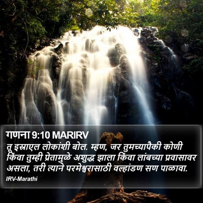 गणना 9:10 MARIRV Bible Verse Image