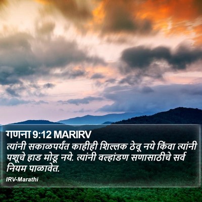 गणना 9:12 MARIRV Bible Verse Image