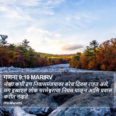 गणना 9:19 MARIRV Bible Verse Image