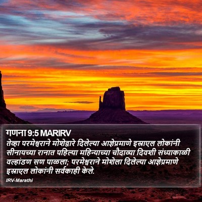 गणना 9:5 MARIRV Bible Verse Image