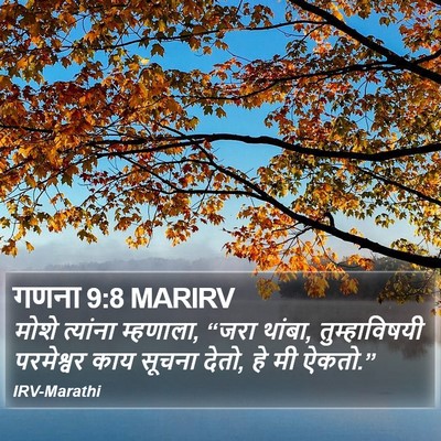 गणना 9:8 MARIRV Bible Verse Image