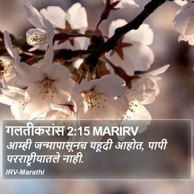 गलतीकरांस 2:15 MARIRV Bible Verse Image