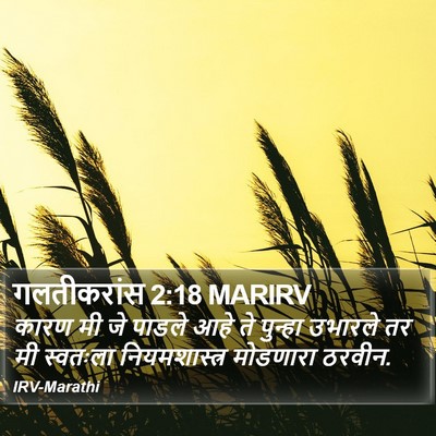 गलतीकरांस 2:18 MARIRV Bible Verse Image