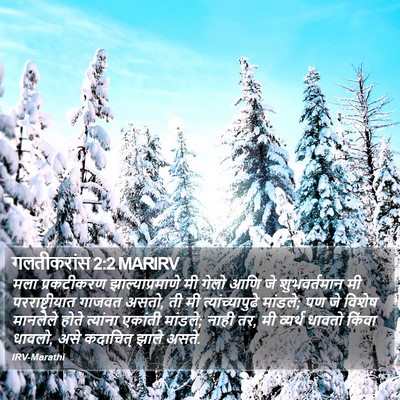 गलतीकरांस 2:2 MARIRV Bible Verse Image