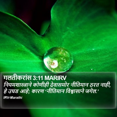 गलतीकरांस 3:11 MARIRV Bible Verse Image