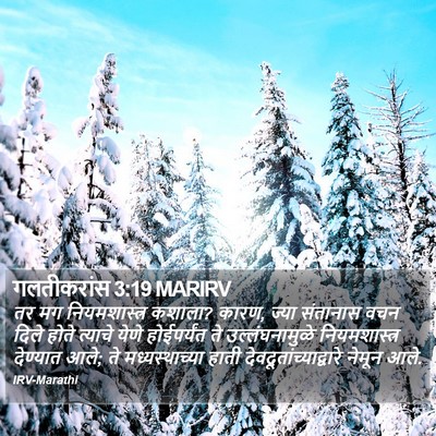 गलतीकरांस 3:19 MARIRV Bible Verse Image