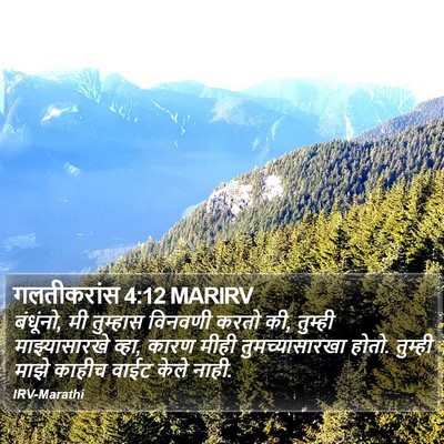 गलतीकरांस 4:12 MARIRV Bible Verse Image