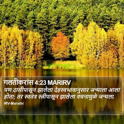 गलतीकरांस 4:23 MARIRV Bible Verse Image