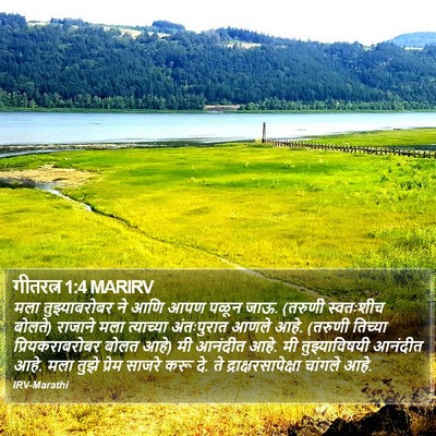 गीतरत्न 1:4 MARIRV Bible Verse Image