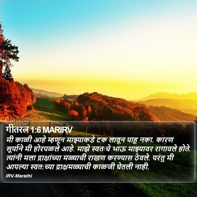 गीतरत्न 1:6 MARIRV Bible Verse Image