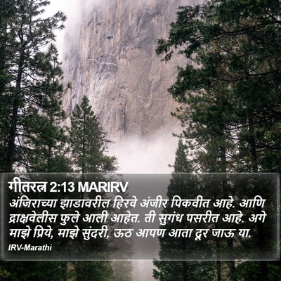 गीतरत्न 2:13 MARIRV Bible Verse Image