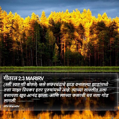 गीतरत्न 2:3 MARIRV Bible Verse Image