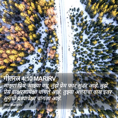 गीतरत्न 4:10 MARIRV Bible Verse Image