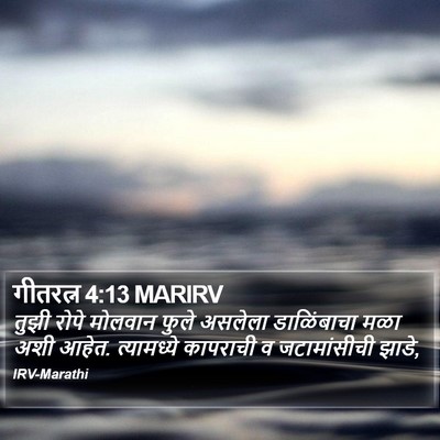 गीतरत्न 4:13 MARIRV Bible Verse Image
