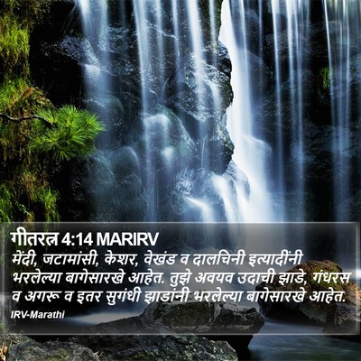 गीतरत्न 4:14 MARIRV Bible Verse Image