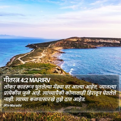 गीतरत्न 4:2 MARIRV Bible Verse Image