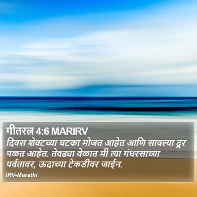 गीतरत्न 4:6 MARIRV Bible Verse Image