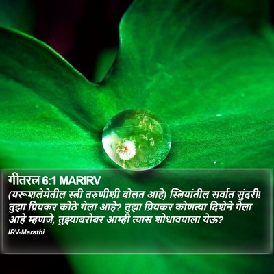 गीतरत्न 6:1 MARIRV Bible Verse Image