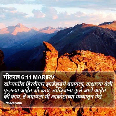 गीतरत्न 6:11 MARIRV Bible Verse Image