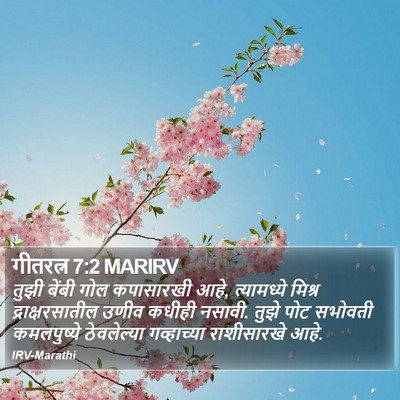 गीतरत्न 7:2 MARIRV Bible Verse Image