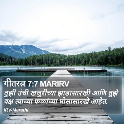 गीतरत्न 7:7 MARIRV Bible Verse Image