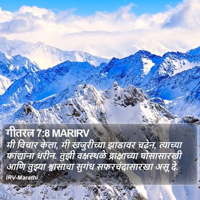 गीतरत्न 7:8 MARIRV Bible Verse Image