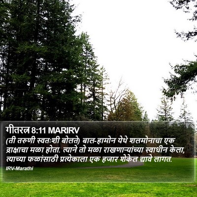 गीतरत्न 8:11 MARIRV Bible Verse Image