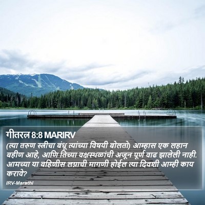 गीतरत्न 8:8 MARIRV Bible Verse Image
